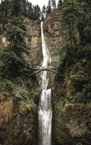 贵州山居|逍遥自在随风去,一瞥惊鸿在盘州